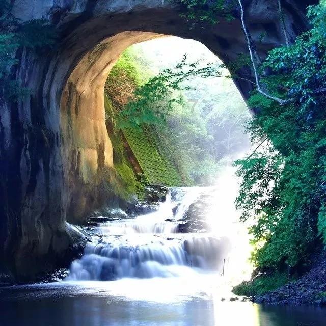 泡沫森林