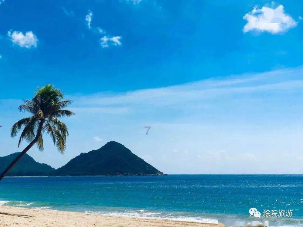 河北博物院征集公告