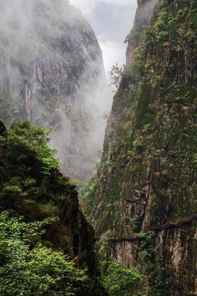 阿凯历险记