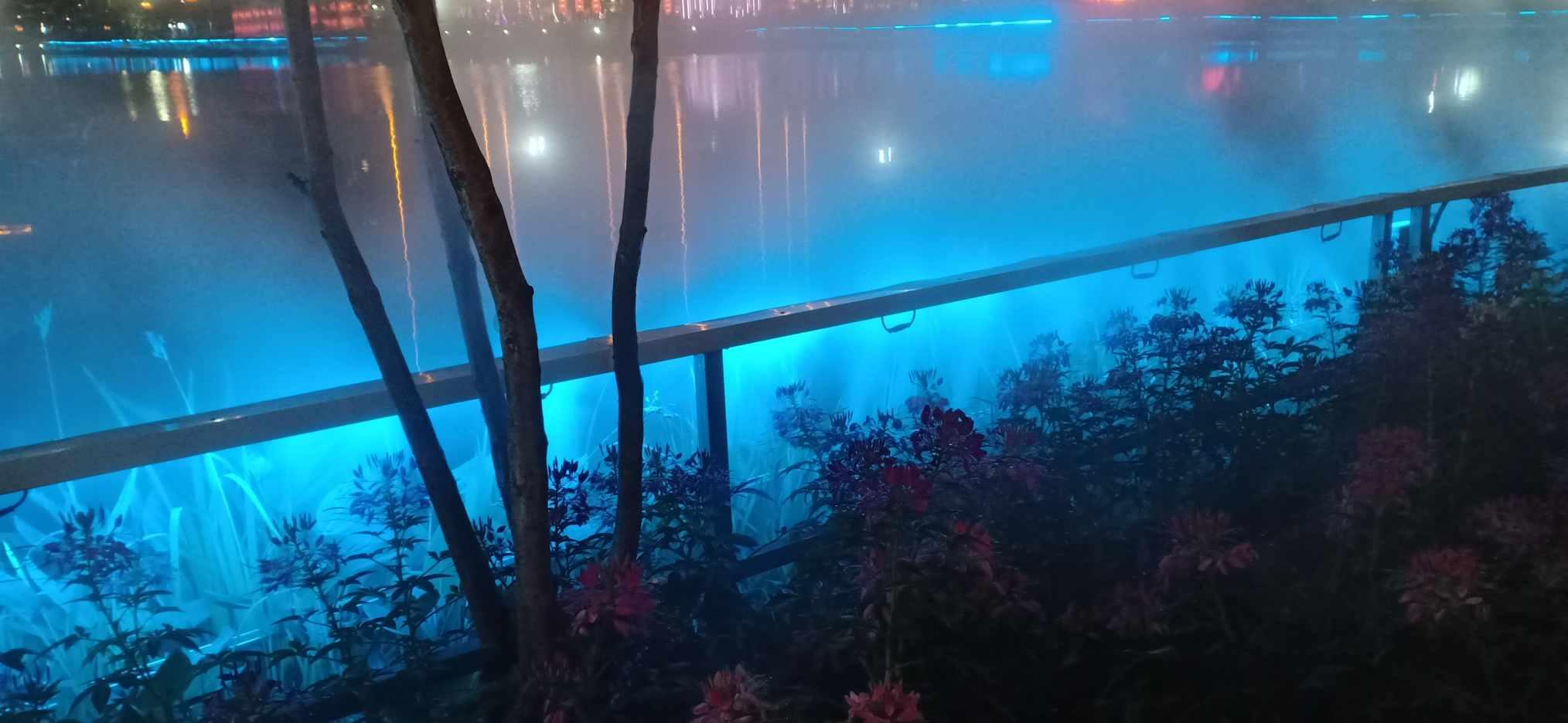 军统最年轻的少将杀手沈醉，多亏这三个贵人，活82岁善终